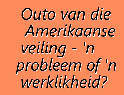 Outo van die Amerikaanse veiling - 'n probleem of 'n werklikheid?