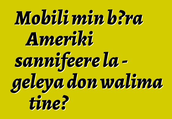 Mobili min bɔra Ameriki sannifeere la - gɛlɛya don walima tiɲɛ?