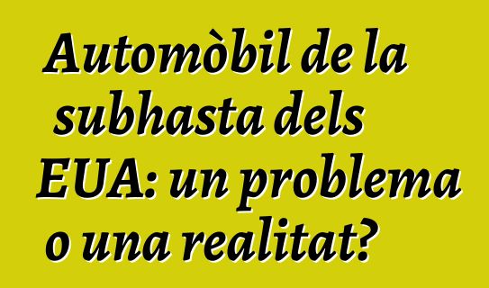 Automòbil de la subhasta dels EUA: un problema o una realitat?
