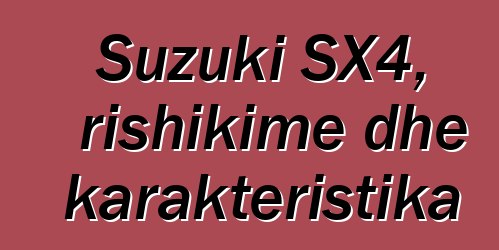 Suzuki SX4, rishikime dhe karakteristika