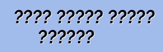 የፎርድ ትራንዚት ቤተሰብ። ግምገማዎች