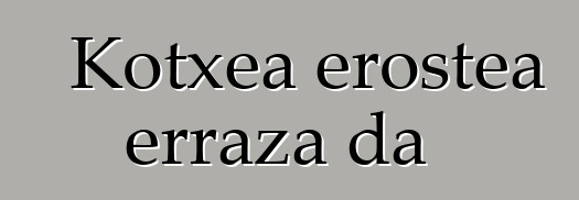 Kotxea erostea erraza da