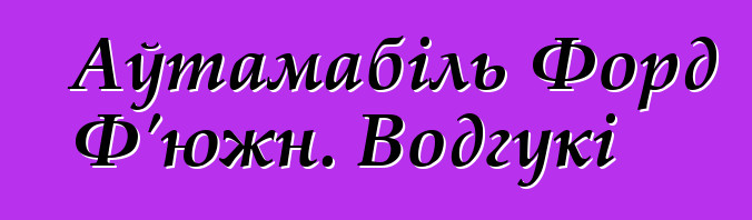 Аўтамабіль Форд Ф'южн. Водгукі