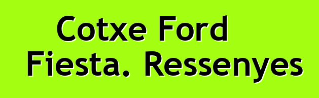 Cotxe Ford Fiesta. Ressenyes