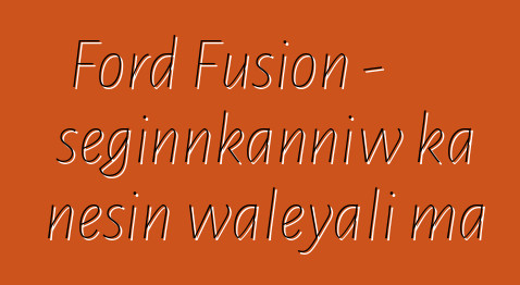 Ford Fusion - seginnkanniw ka ɲɛsin waleyali ma