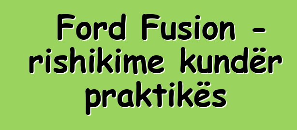 Ford Fusion - rishikime kundër praktikës