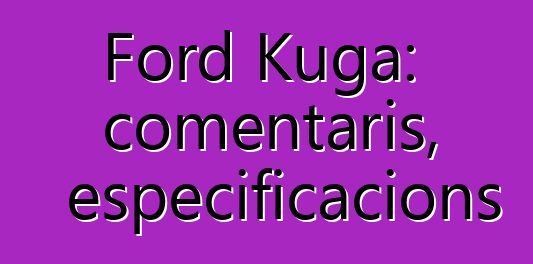 Ford Kuga: comentaris, especificacions