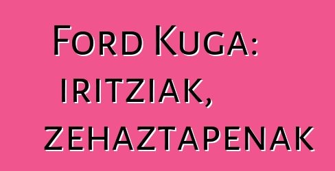 Ford Kuga: iritziak, zehaztapenak