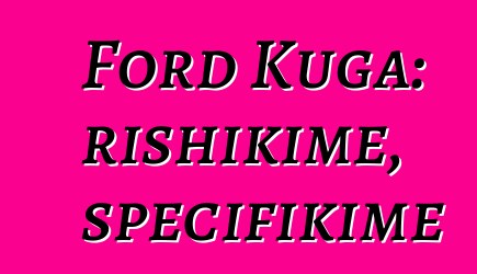 Ford Kuga: rishikime, specifikime