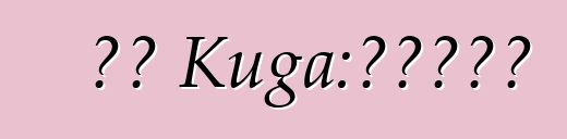 福特 Kuga：評論、規格