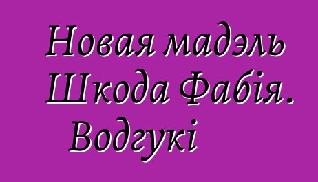 Новая мадэль Шкода Фабія. Водгукі