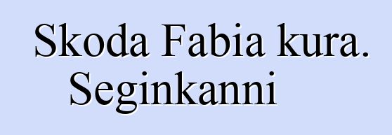 Skoda Fabia kura. Seginkanni