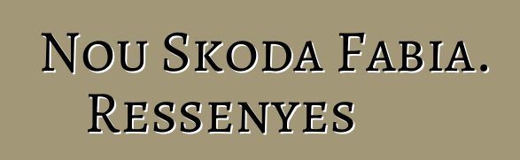 Nou Skoda Fabia. Ressenyes