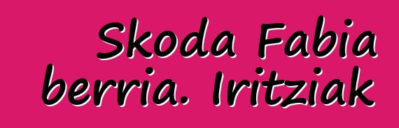 Skoda Fabia berria. Iritziak