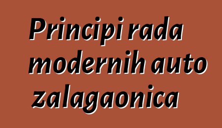 Principi rada modernih auto zalagaonica