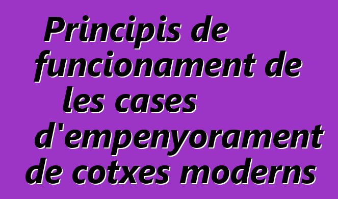 Principis de funcionament de les cases d'empenyorament de cotxes moderns