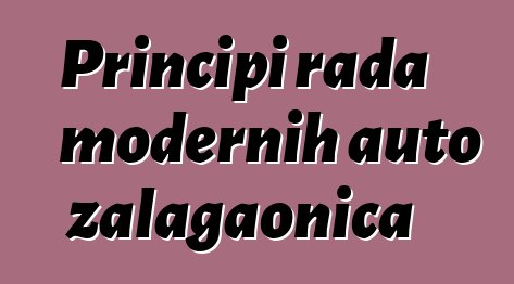 Principi rada modernih auto zalagaonica