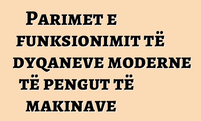 Parimet e funksionimit të dyqaneve moderne të pengut të makinave