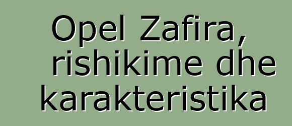 Opel Zafira, rishikime dhe karakteristika