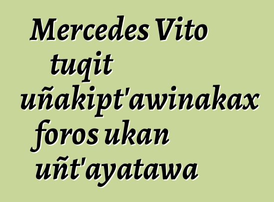 Mercedes Vito tuqit uñakipt’awinakax foros ukan uñt’ayatawa