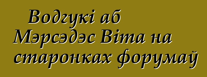 Водгукі аб Мэрсэдэс Віта на старонках форумаў