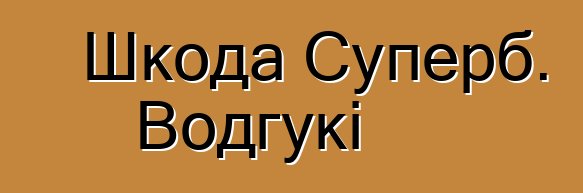 Шкода Суперб. Водгукі