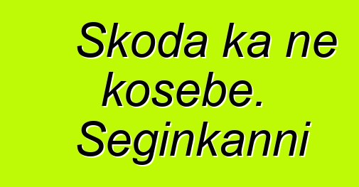 Skoda ka ɲɛ kosɛbɛ. Seginkanni