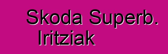 Skoda Superb. Iritziak