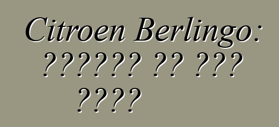 Citroen Berlingo: ግምገማዎች እና ሞዴል መግለጫ