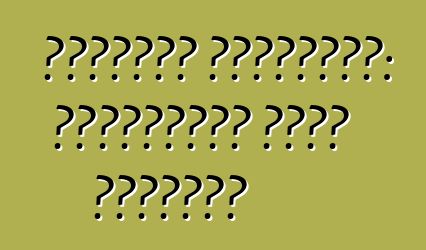 سيتروين بيرلينجو: المراجعات ووصف النموذج