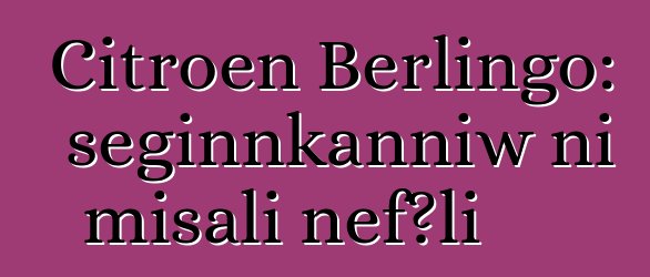 Citroen Berlingo: seginnkanniw ni misali ɲɛfɔli
