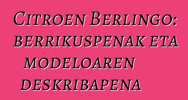 Citroen Berlingo: berrikuspenak eta modeloaren deskribapena