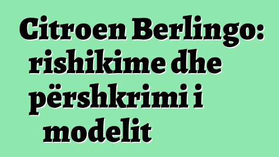 Citroen Berlingo: rishikime dhe përshkrimi i modelit