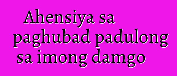 Ahensiya sa paghubad padulong sa imong damgo