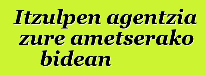 Itzulpen agentzia zure ametserako bidean