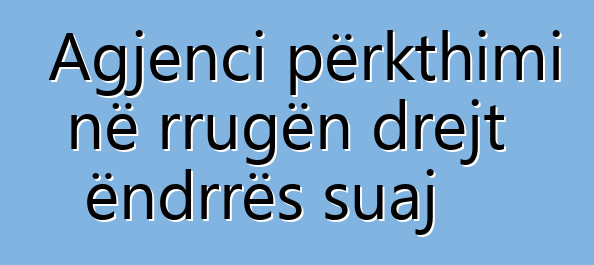 Agjenci përkthimi në rrugën drejt ëndrrës suaj