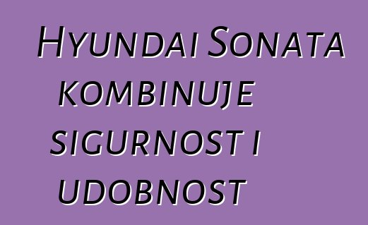 Hyundai Sonata kombinuje sigurnost i udobnost