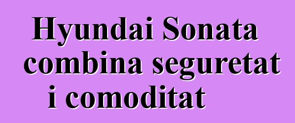 Hyundai Sonata combina seguretat i comoditat