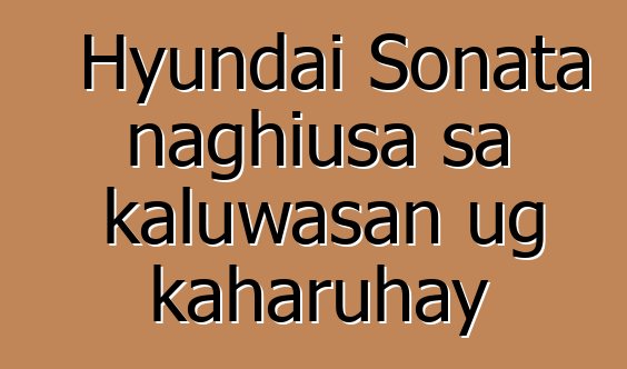 Hyundai Sonata naghiusa sa kaluwasan ug kaharuhay