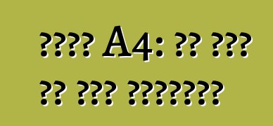 أودي A4: أي نوع من هذه السيارة