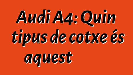 Audi A4: Quin tipus de cotxe és aquest