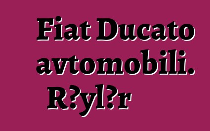 Fiat Ducato avtomobili. Rəylər
