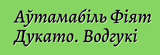 Аўтамабіль Фіят Дукато. Водгукі