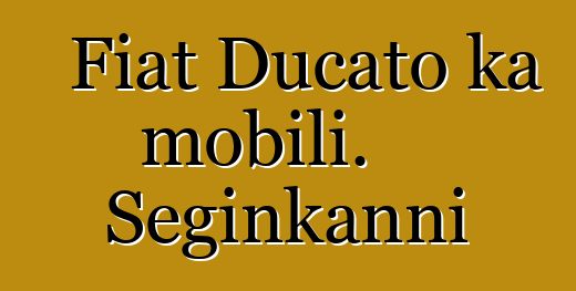 Fiat Ducato ka mobili. Seginkanni