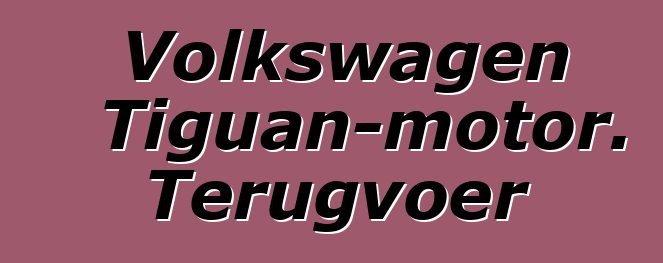 Volkswagen Tiguan-motor. Terugvoer