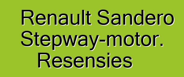 Renault Sandero Stepway-motor. Resensies