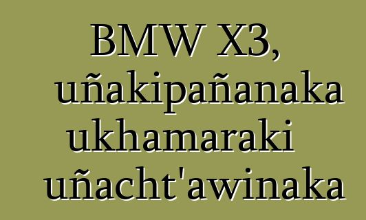 BMW X3, uñakipañanaka ukhamaraki uñacht’awinaka