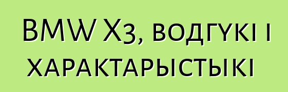 BMW X3, водгукі і характарыстыкі