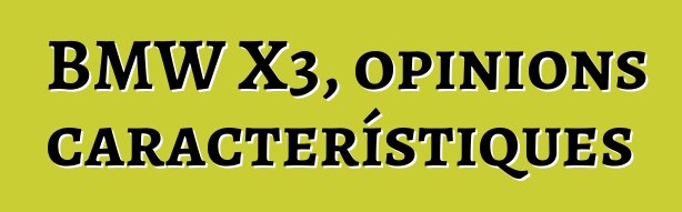 BMW X3, opinions i característiques