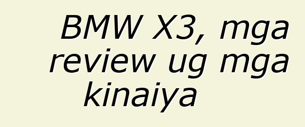 BMW X3, mga review ug mga kinaiya